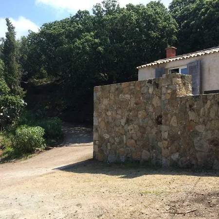 Vue لوميو